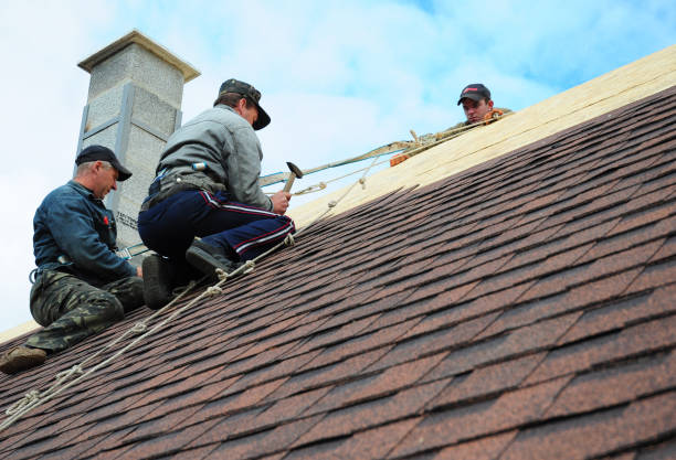 Best New Roof Installation  in Tompkinsville, KY
